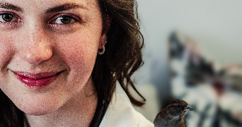 isabelle pet sitter à MAISONS ALFORT 94700_3