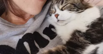 cindy cat sitter à LA SEYNE SUR MER 83500
