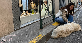 clemence dog sitter à PARIS 18 75018_2