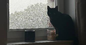 morgane pet sitter à Estaires 59940_4