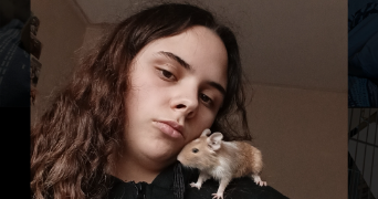 lea pet sitter à AMIENS 80090_0