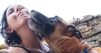 jillian pet sitter à SPEZET 29540_7