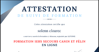 solenn pet sitter à LEVALLOIS PERRET 92300_2