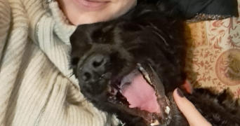 gabrielle pet sitter à PARIS 12 75012_3