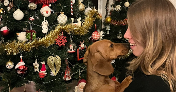 lila pet sitter à BORDEAUX 33300_2