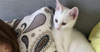 corentin pet sitter à CAEN 14000_7