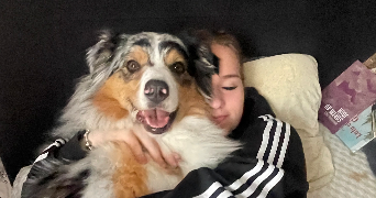 apolline pet sitter à ST LAURENT BLANGY 62223_2