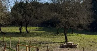 marine dog sitter à ST HERBLAIN 44800