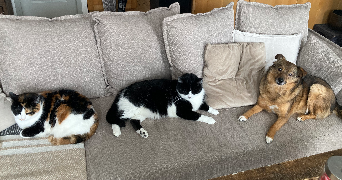 maéva pet sitter à Mende 48000_4