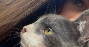 alexane  pet sitter à DUNKERQUE 59140_1