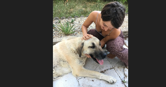 louna pet sitter à LYON 03 69003_3