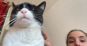 kamilla pet sitter à LE HAVRE 76600_3