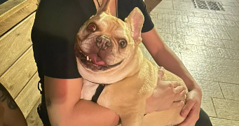 nicoly pet sitter à PARIS 16 75016_1