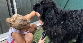 victoire pet sitter à SCEAUX 92330_2