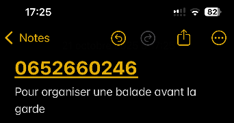 axel pet sitter à BORDEAUX 33000_6