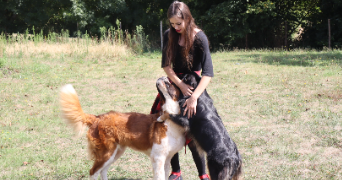 nathanëlle pet sitter à LE BOUPERE 85510_0