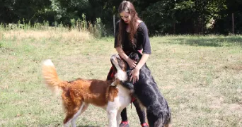 nathanëlle pet sitter à LE BOUPERE 85510