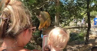 tiphanie pet sitter à LA CHAIZE LE VICOMTE 85310