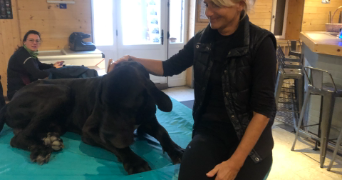 valérie  pet sitter à CHATILLON 69380_2