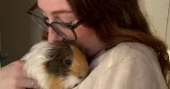 avatar petsitter