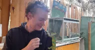 avatar petsitter