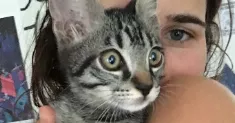 avatar petsitter