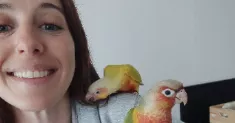 avatar petsitter