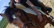 avatar petsitter