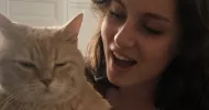 avatar petsitter