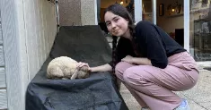 avatar petsitter