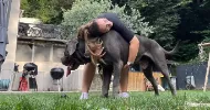 avatar petsitter
