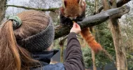 avatar petsitter