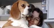 avatar petsitter