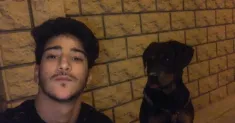 avatar petsitter