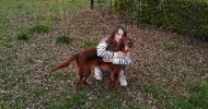 avatar petsitter