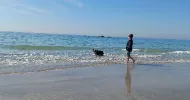 avatar petsitter