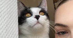avatar petsitter