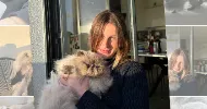 avatar petsitter
