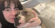 avatar petsitter