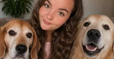 avatar petsitter