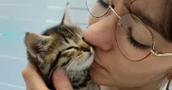 avatar petsitter