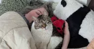 avatar petsitter