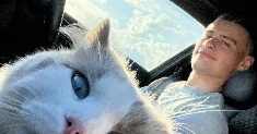 avatar petsitter