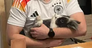 avatar petsitter