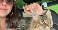 avatar petsitter