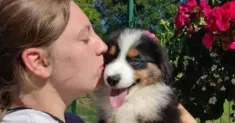 avatar petsitter