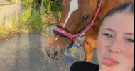 avatar petsitter