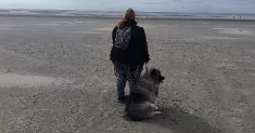 avatar petsitter