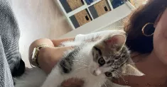 avatar petsitter