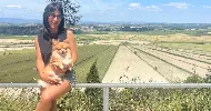 avatar petsitter